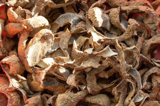 istock abstract background with potato peels 1396907662