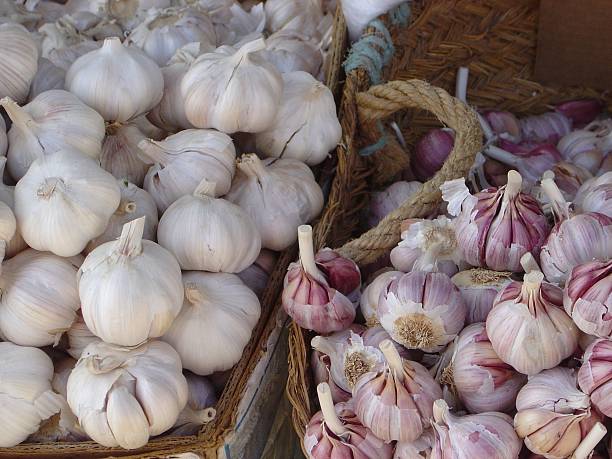 Aglio e scalogno - foto stock