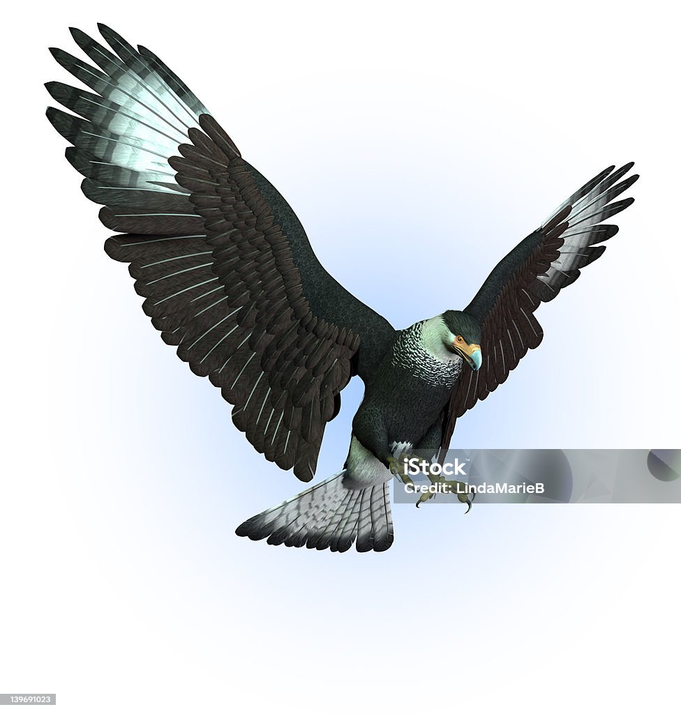 CaraCara Vulture Swooping Down - includes clipping path 3D render of a CaraCara Vulture swooping down. Diving to the Ground Stock Photo