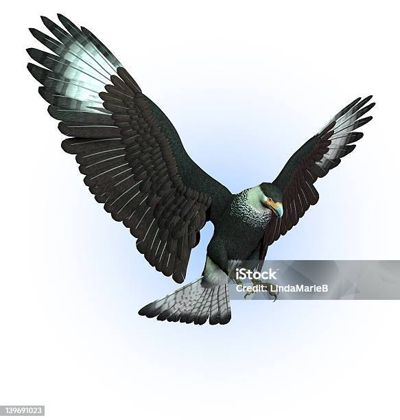 Caracara Vulture Swooping Down Includes Clipping Path Stock Photo - Download Image Now