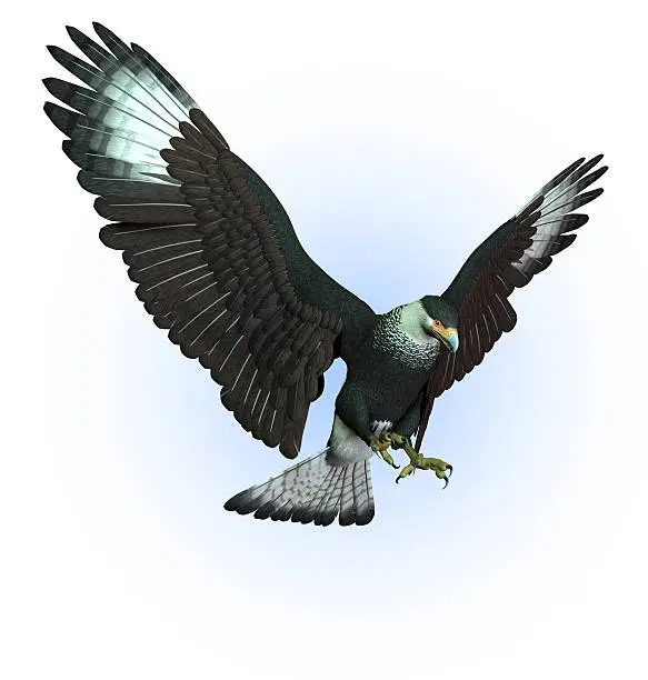 3D render of a CaraCara Vulture swooping down.
