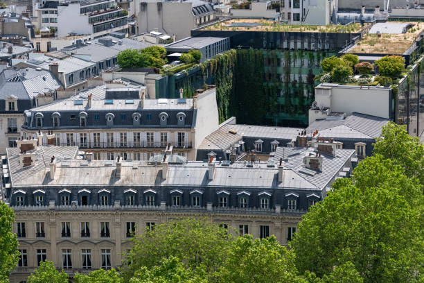 istock Paris, luxury Haussmann facades 1396913481