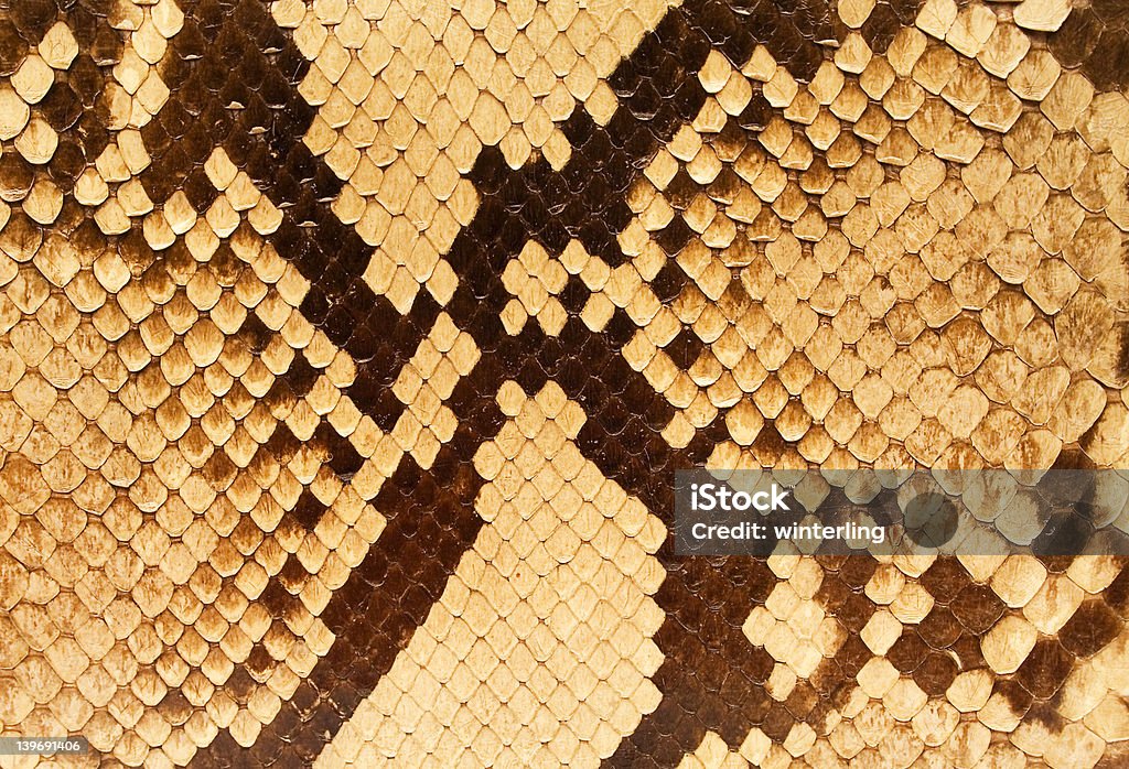 Texturas – pele de cobra#05 - Foto de stock de Alto contraste royalty-free