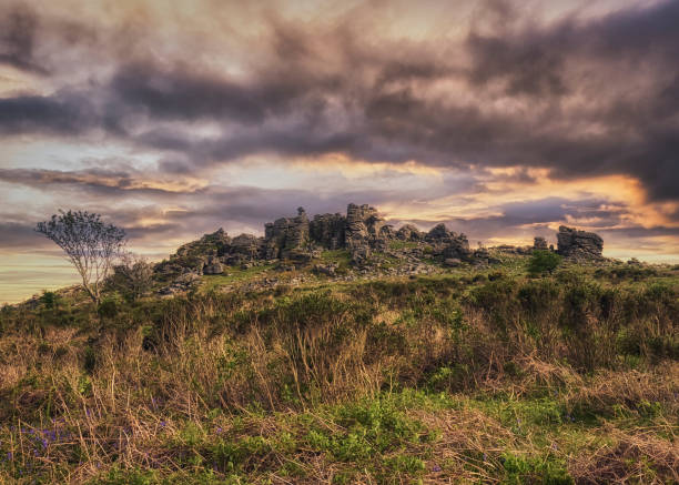 hound tor puesta de sol - dartmoor fotografías e imágenes de stock