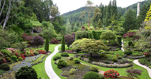 jardins de butchart - buchart gardens photos et images de collection