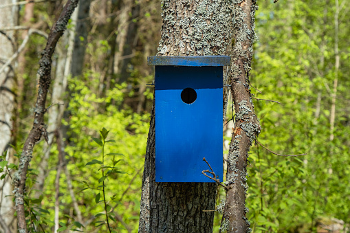 a beautiful blue bird house in a tree in the park.