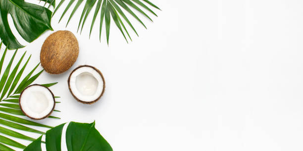 istock Tropical leaves and fresh coconut on light gray background. Flat lay, top view, copy space. Summer background, nature. Healthy cooking. Creative healthy food concept, half of coconut 1396916603