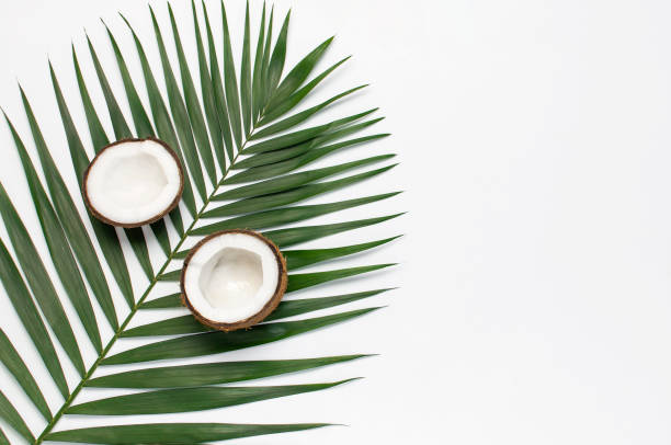 istock Tropical leaves and fresh coconut on light gray background. Flat lay, top view, copy space. Summer background, nature. Healthy cooking. Creative healthy food concept, half of coconut 1396916613