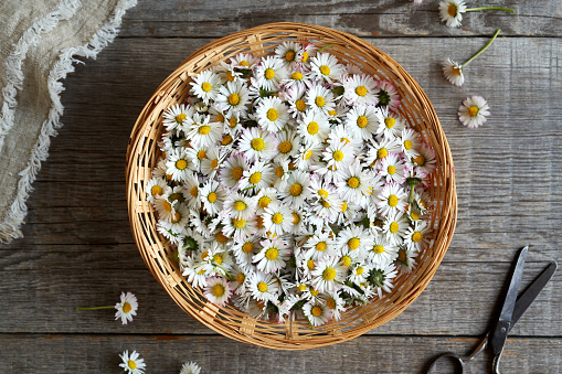 Cesta con flores de margarita sobre una mesa, vista superior photo