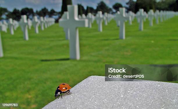 Life And Death Stock Photo - Download Image Now - Armed Forces, Battle, Cemetery