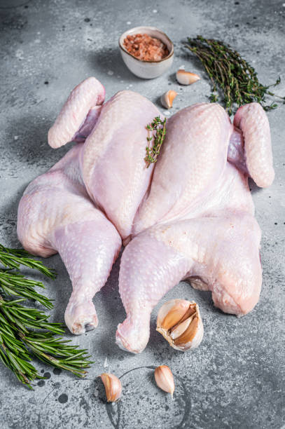 istock Raw spatchcock chicken meat with garlic and thyme. Gray background. Top view 1396919251