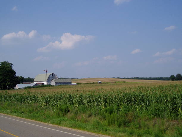 istock Vicksburg Farm 139691928
