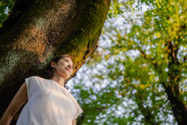 istock Woman leaning against tree trunk and watching sunset in nature 1396919405