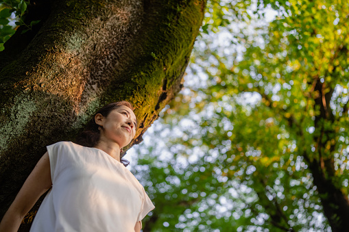A woman is leaning against a tree trunk and watching the sunset in nature.