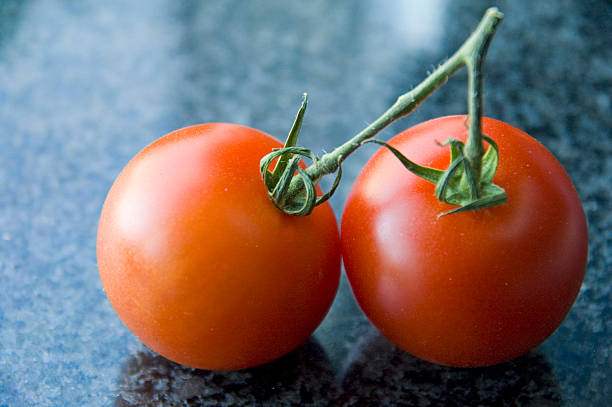 Pair of tomatoes stock photo