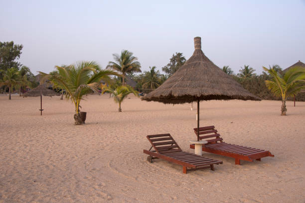 Saly coast in Senegal Sunbeds and parasol on the beaches of Saly on the coast of Senegal senegal beach stock pictures, royalty-free photos & images