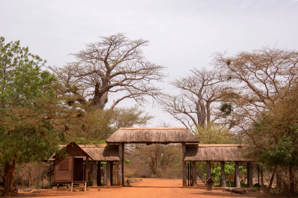 Bandia Nature Reserve in Senegal