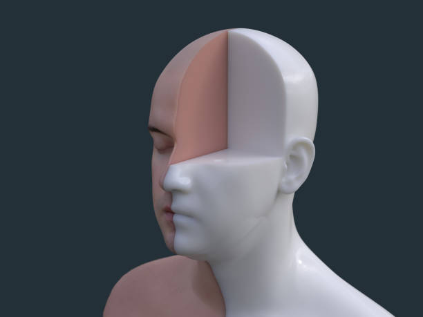 istock artificial man with head divided by parts 1396925600