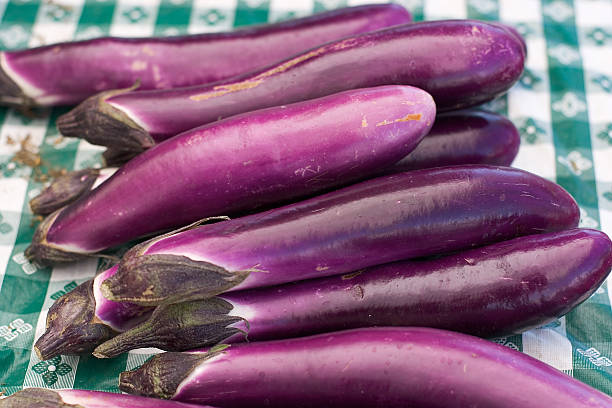 Purple Eggplant stock photo