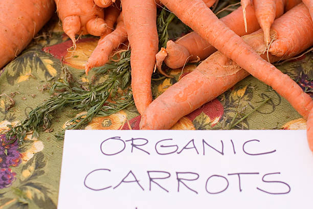 Organic Carrots stock photo