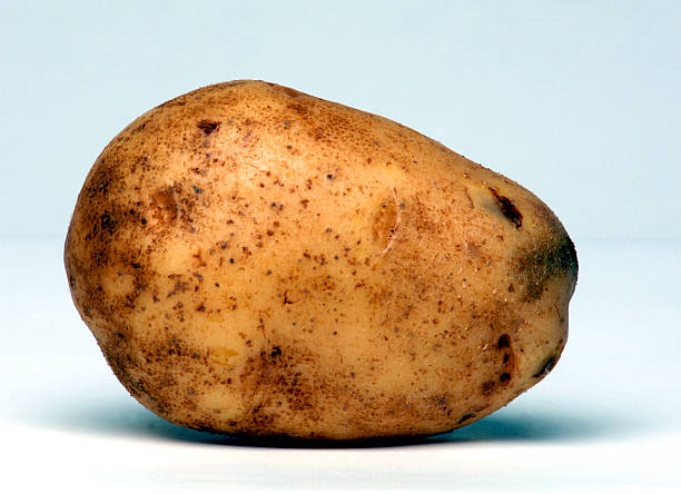 ポテト 1 つ - root vegetable raw potato human skin root ストックフォトと画像