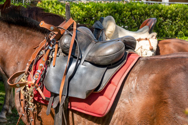 istock saddle on a horse 1396931660