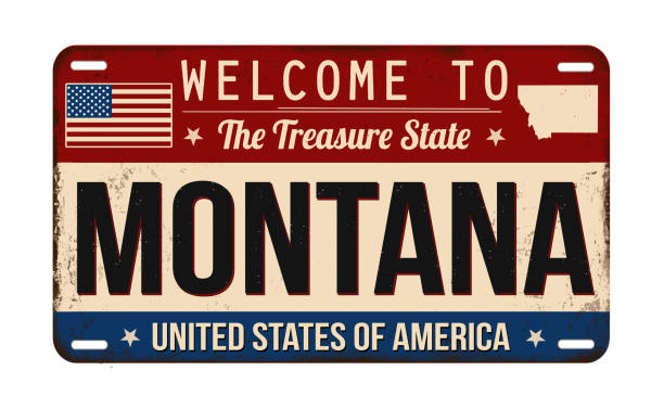 illustrazioni stock, clip art, cartoni animati e icone di tendenza di benvenuti nella targa arrugginita vintage montana - license plate metal rusty old