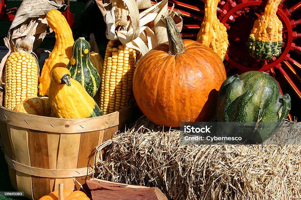 Herbst Arrangement - Lizenzfrei Fotografie Stock-Foto