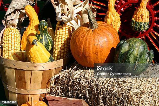 Arreglo De Caída Foto de stock y más banco de imágenes de Alimento - Alimento, Arreglo, Calabacita