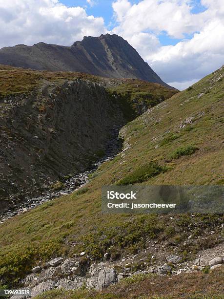 Tundra Gully Stock Photo - Download Image Now - Alberta, Canada, Ditch