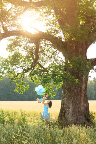 mama hebt ihre tochter hoch in ihre arme und hält blaue luftballons, die in den himmel fliegen. riesige rieseneiche in den strahlen der untergehenden sonne wächst am waldrand im feld mit weizen. muttertagsurlaub - sun sky child balloon stock-fotos und bilder