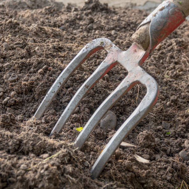garden work. garden work. digging the ground in the garden for planting vegetables. garden fork stock pictures, royalty-free photos & images