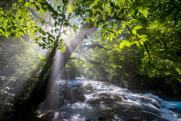 istock Light beam of the valley 1396935597