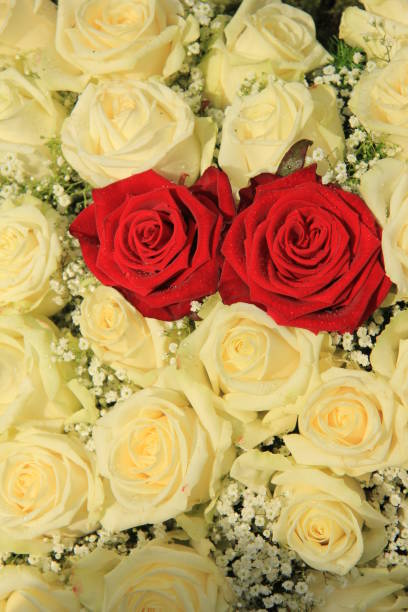 istock red roses in a white bouquet 1396936882