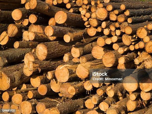 Zbliżenie Southern Yellow Pine Dzienniki - zdjęcia stockowe i więcej obrazów Południe - Kierunek - Południe - Kierunek, Południowe Stany Zjednoczone, Sosna - Drzewo iglaste