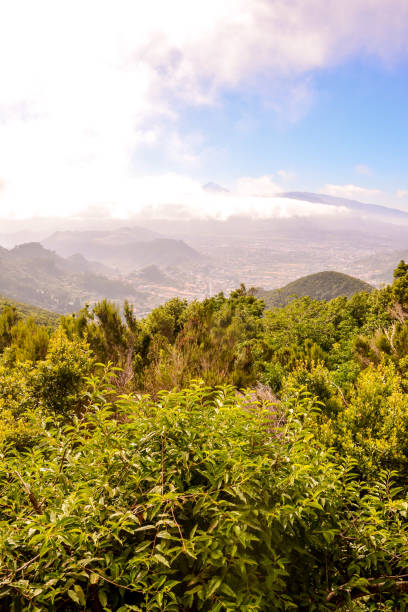 istock Anaga mountains view Tenerife island Spain 1396938623