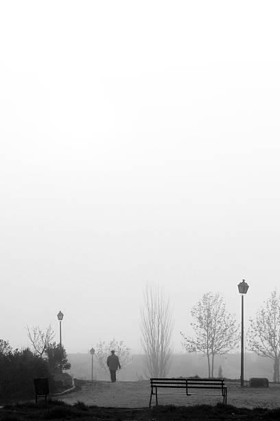 Cтоковое фото Туман пейзаж#2