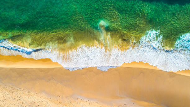 istock Top down view of ocean waters edge 1396944528