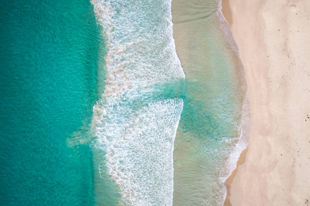 istock Drone view of pristine coast 1396944660