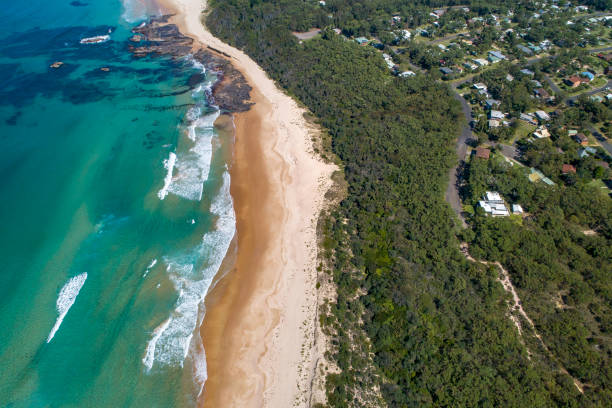 istock Top down view of tropical lush coastline 1396944695