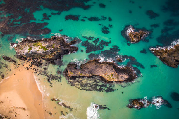 istock Rocky coast amidst clear teal blue ocean 1396945237