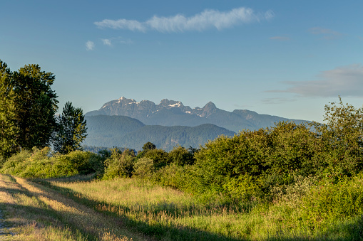Meadow view with Golden Ears Mountain in the background, taken from Pitt Lake, BC, Canada