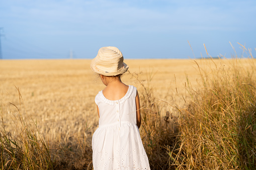 Little girl standing yellow wheat field dressed white dress and straw hat. Blue sky on background. Back view female child walking outdoors agricultural field. Fashion photo