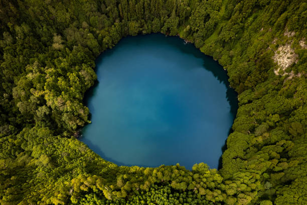 Bright blue pond in woods stock photo