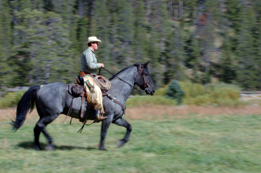 Vaquero montando a caballo photo