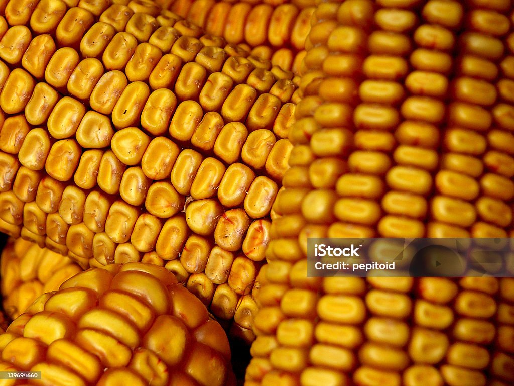 Maíz - Foto de stock de Agricultura libre de derechos