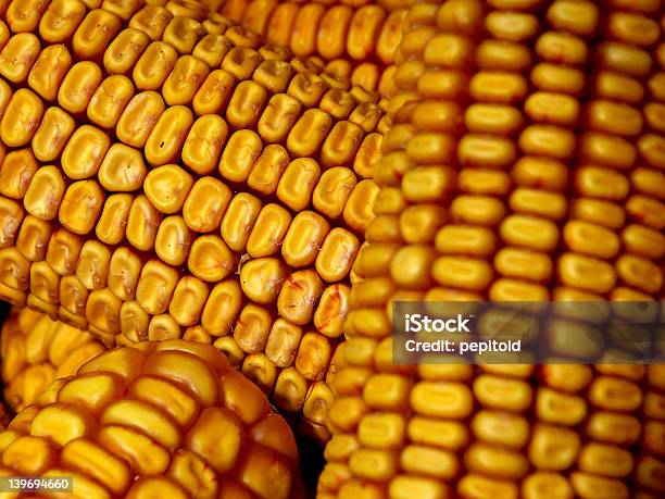 Maíz Foto de stock y más banco de imágenes de Agricultura - Agricultura, Alimento, Amarillo - Color