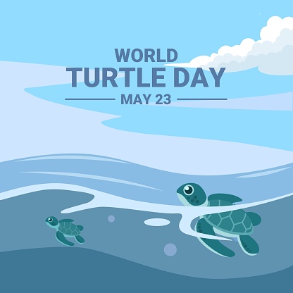Baby turtle heading to sea after hatching, as world turtle day banner or poster, vector illustration.
