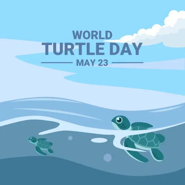 Vector illustration of Baby turtle heading to sea after hatching, as world turtle day banner or poster, vector illustration.