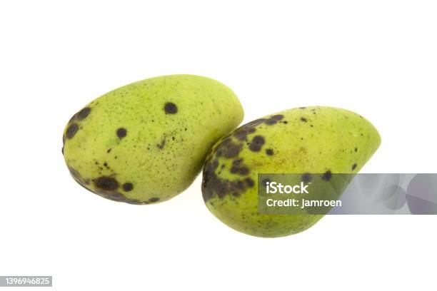 Mango Fruits Ripen And Rotten On A White Background Stock Photo - Download  Image Now - iStock